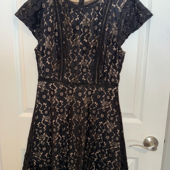 Blu Pepper Dresses & Skirts - Blu Pepper Black Lace Mini Dress